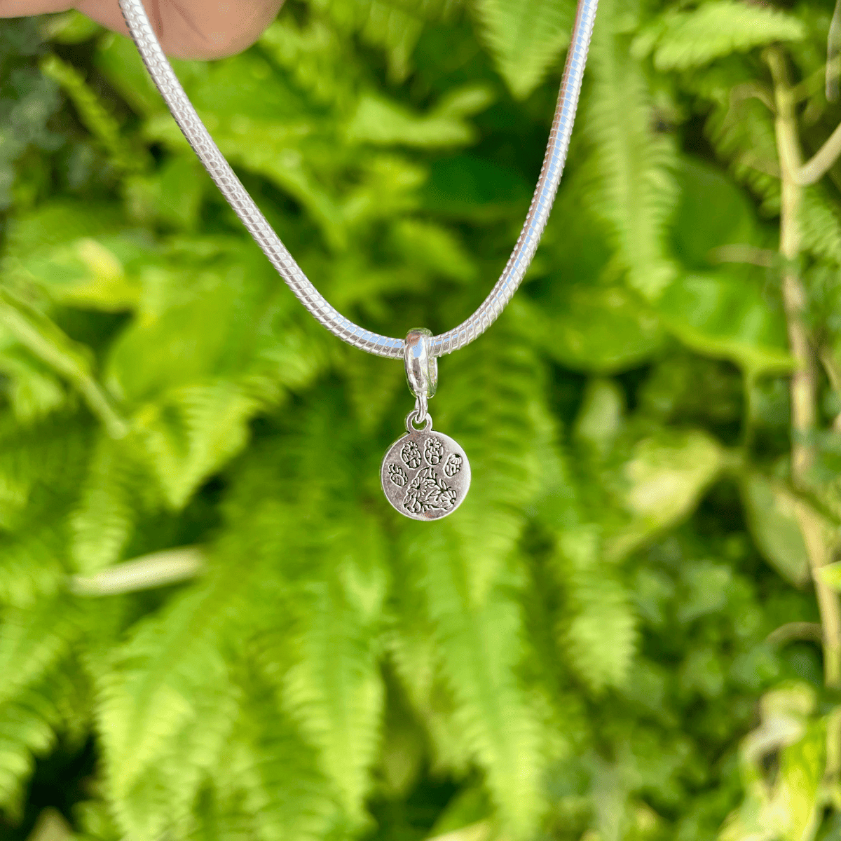 Berloque Medalha Luza Lisa com Flores em Prata 925