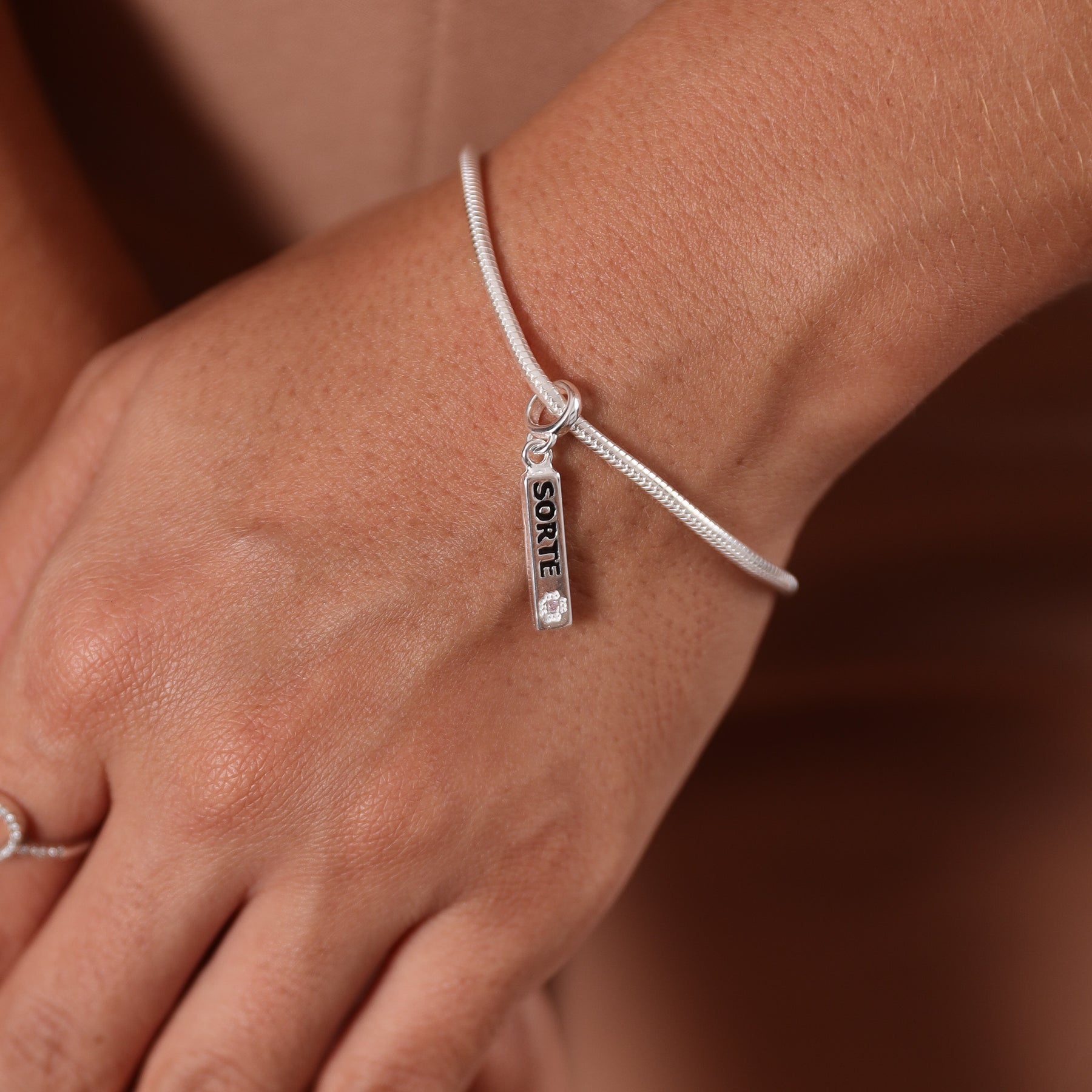 Berloque com Medalha "Sorte" Luza em Prata 925