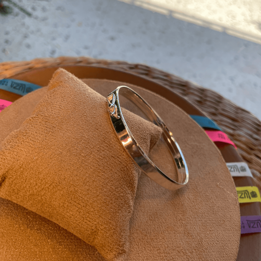 Bracelete Luza Grosso Liso e com Fecho em Prata 925