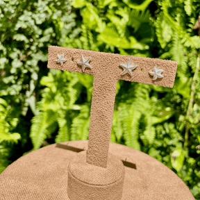 Brinco Dupla Luza de Estrela do Mar Lisa em Prata 925